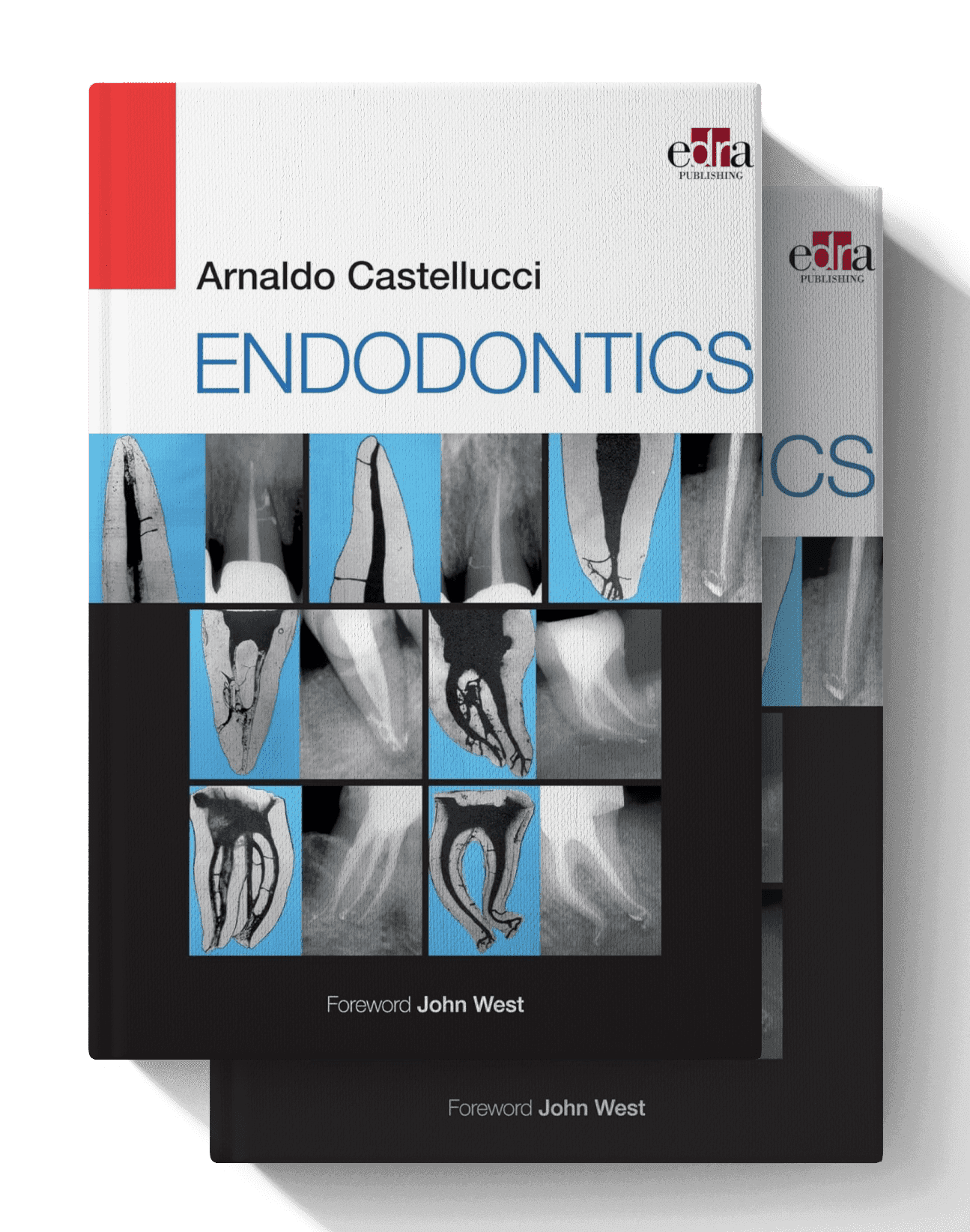 Endodontics: 2 Volume Set